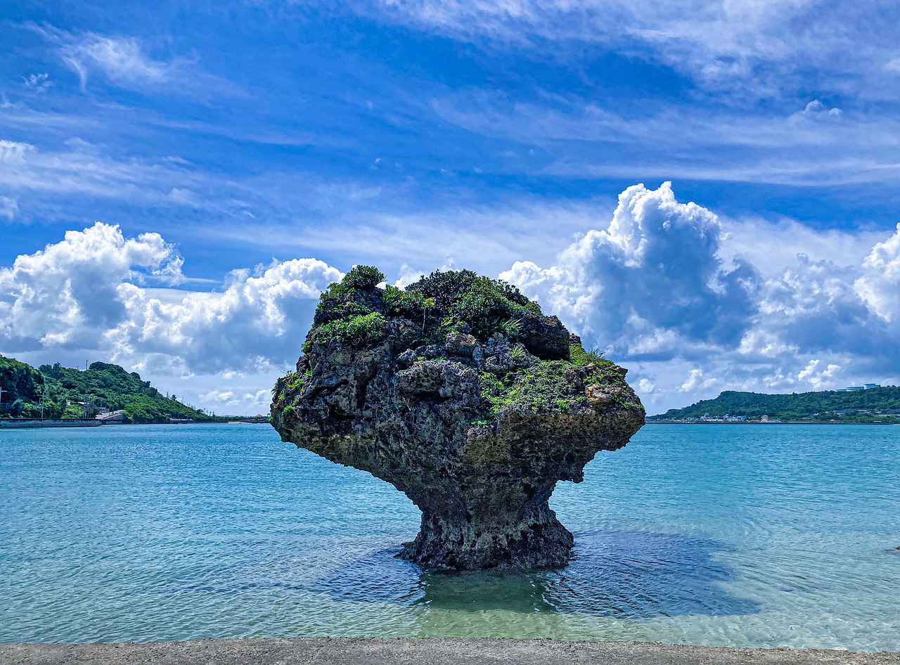 多様な取引プランのご提案